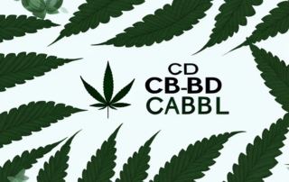 A cbd tablet surrounded by natural elements like leaves and flowers