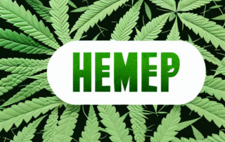 A few hemp capsules surrounded by various natural elements like leaves and seeds