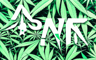 A male and female cannabis plant side by side