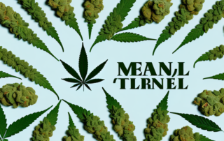 A variety of cannabis plants with medical symbols