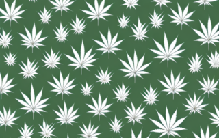 Several different types of cannabis flowers arranged aesthetically on a pharmacy counter