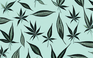 A hemp plant intertwined with various textiles like clothing
