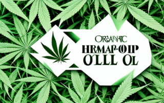 A bottle of organic hemp oil surrounded by hemp leaves