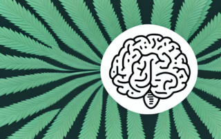 A brain surrounded by hemp leaves