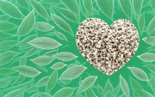 A handful of hemp seeds spilling onto a background of various health and wellness symbols (like a heart