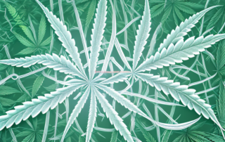 A cannabis plant intertwined with a symbolic representation of a nerve