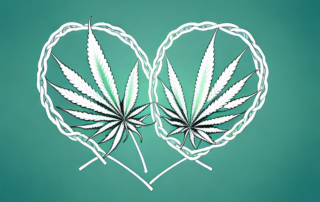A cannabis leaf and a human heart intertwined
