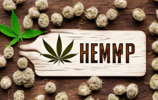 Various types of hemp seed substitute products arranged on a rustic wooden table