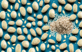 Hemp seeds scattered on a surface