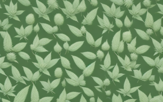 A hemp plant with distinct features highlighted
