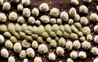 A variety of hemp seeds scattered on a rustic wooden table with some of them sprouting
