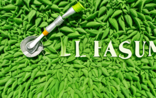 A lush hemp field with various tools like watering cans