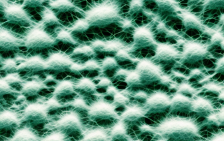 Hemp fibers magnified under a microscope
