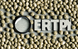 Various hemp seeds scattered on a surface with a magnifying glass zooming in on one