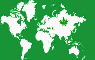 A medical cannabis plant inside a map outline of germany
