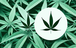 A hemp plant with its leaves gently cradling an abstract symbol of pain (like a sharp