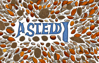 Various seeds such as chia seeds