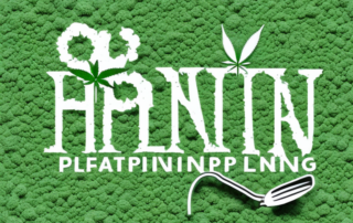 Healthy hemp plants thriving in rich