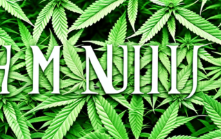 Five distinct and healthy male hemp plants