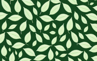 A variety of hemp candies scattered on a leafy hemp plant background