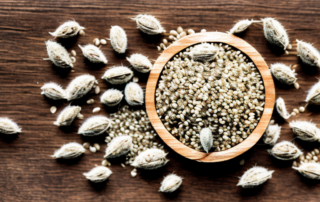 A handful of raw hemp seeds scattered on a rustic wooden table