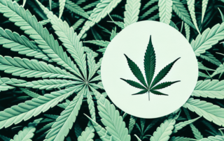 A cannabis plant with its leaves gently wrapping around a symbolic representation of a headache