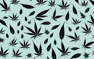 A variety of clothing items