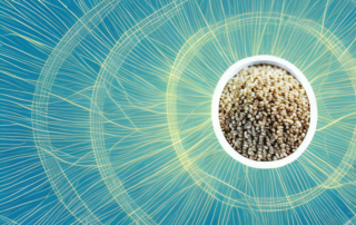 A pile of unpeeled hemp seeds with radiant light emanating from them