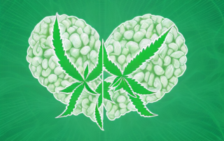 A hemp plant with various health symbols like a heart