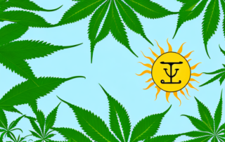 A lush hemp plant thriving in a garden setting