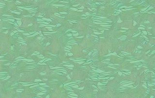 Various hemp products such as clothing