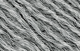 Different hemp fibers showcasing their unique characteristics such as strength