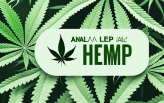 A male hemp plant showcasing its various parts in a lush