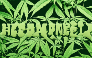 A hemp plant at different stages of growth