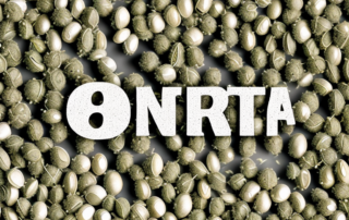 A variety of hemp seeds scattered on a surface