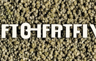 A variety of hemp seeds scattered across a wooden table
