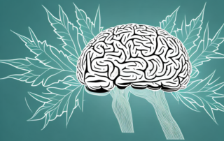 A cannabis leaf with symbolic representations of the brain and nervous system