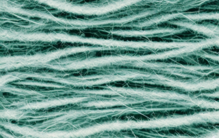 Hemp fibers under a microscope