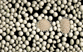 Both shelled and unshelled hemp seeds