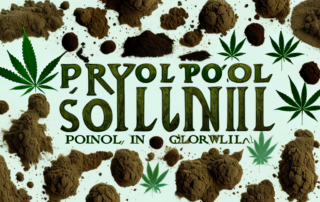 Several different types of soil in separate pots with healthy cannabis plants growing in them