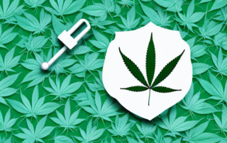 A cannabis leaf with a medical cross symbol in the middle