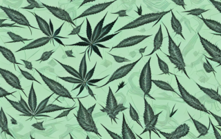 Various hemp products such as clothing
