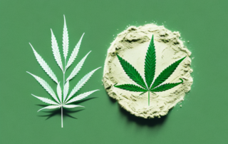 A hemp plant with its leaves being ground into a fine powder
