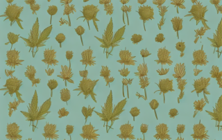 Various types of hemp flowers in a garden setting