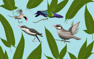 Various bird species perched on a hemp plant