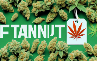 Several distinct cannabis plant varieties