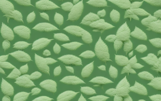 A hemp plant with its fibres being transformed into fabric