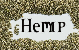 A variety of hemp seeds in the foreground