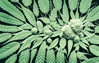 A hemp plant with its various components like seeds