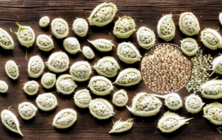 A variety of unpeeled hemp seeds scattered on a rustic wooden table